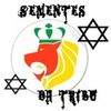 Foto de: sementes da tribo