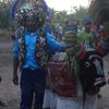 Foto de: Bumba-Boi Touro Vianense