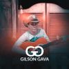 Foto de: GILSON GAVA