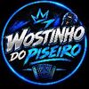 Foto de: Wostinho Do Piseiro