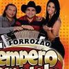 Foto de: Forrozão Tempero Completo- OFICIAL