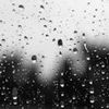Foto de: RAINERI SPOHR
