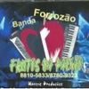 Foto de: Banda Forrozão Frutos da Paixão