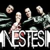 Foto de: Anestesia punkmetal
