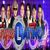 Foto de: Banda Sangue Latino