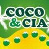 Foto de: cocoecia