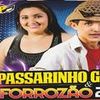 Foto de: PASSARINHO GÓIS & FORROZÃO 2.0
