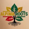 Foto de: Alpínia Roots
