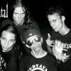 Foto de: HIDANTAL