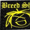 Foto de: Breed Sheep