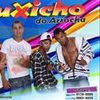 Foto de: Buxicho do Arrocha