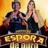 Foto de: Forrozão Espora de Ouro Oficial