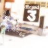 Foto de: Regrad'3