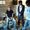 Foto de: Símios
