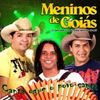 Foto de: Os meninos de Goiais
