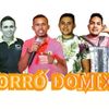 Foto de: Forró Domix