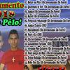 Foto de: os invenenados do forró