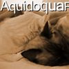 Foto de: Aquido Quarto