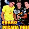 Foto de: forró pegada chique oficial