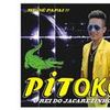 Foto de: PITOKO O REI DO JACAREZINHO