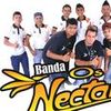 Foto de: Banda Os Nectars