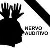 Foto de: Nervo Auditivo