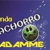 Foto de: BANDA KACHORRO DE MADAMME