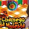 FORROZÃO CHAMEGO DA MULESTA