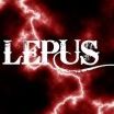 Lepus