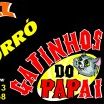 gatinhos do papai