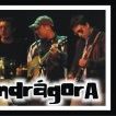 MANDRÁGORA ROCK
