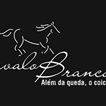 Forró Cavalo Branco