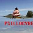 Psillocybe