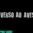 Verso ao Avesso