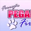 Pegada Firme