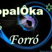 Tropalôka do forró
