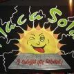 Placa Solar