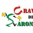 Cravos de Saron