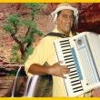 Neném Do Acordeon