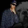 Budog (Solo)
