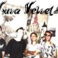 Viuva Velvet