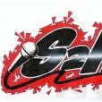 S2H