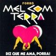 Mel com Terra