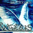 The Ângelus