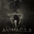 antimacula