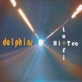 DOLPHINS