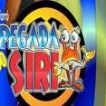 forro pegada do siri