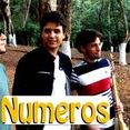 Banda Números