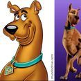 Scooby-doo