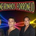 Os Mineirinhos Forronejo